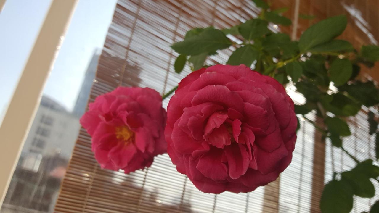 Căn hộ Mq House TP. Hồ Chí Minh